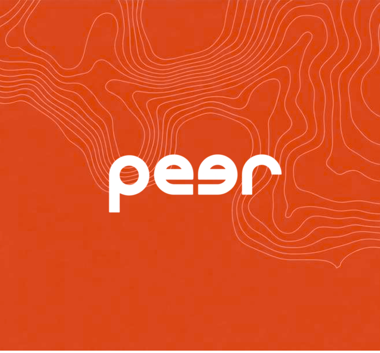 Peer AI